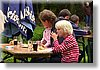 IMG_1329.jpg