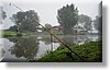 DSC02038.jpg